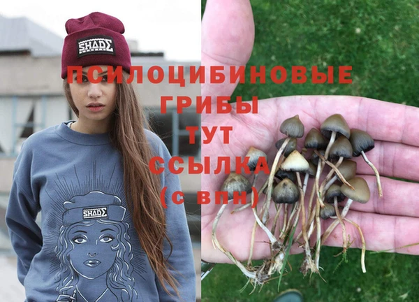 прущий лед Волоколамск