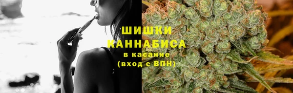 крисы Вязьма