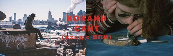 крисы Вязьма